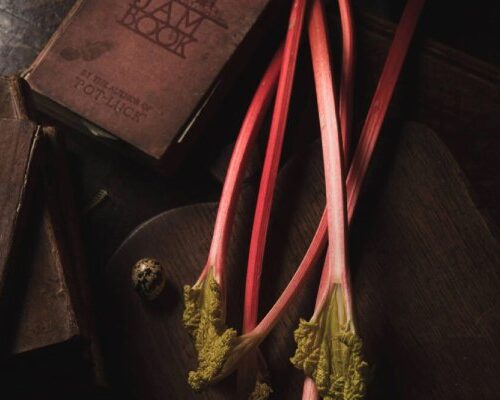 Rhubarb jam recipe