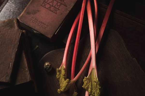 Rhubarb jam recipe
